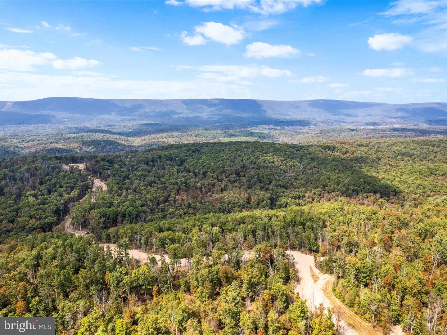 439 ACRES LAUREL GROVE RD., WINCHESTER, Virginia 22602, ,Farm,For Sale,439 ACRES LAUREL GROVE RD.,VAFV2024650 MLS # VAFV2024650