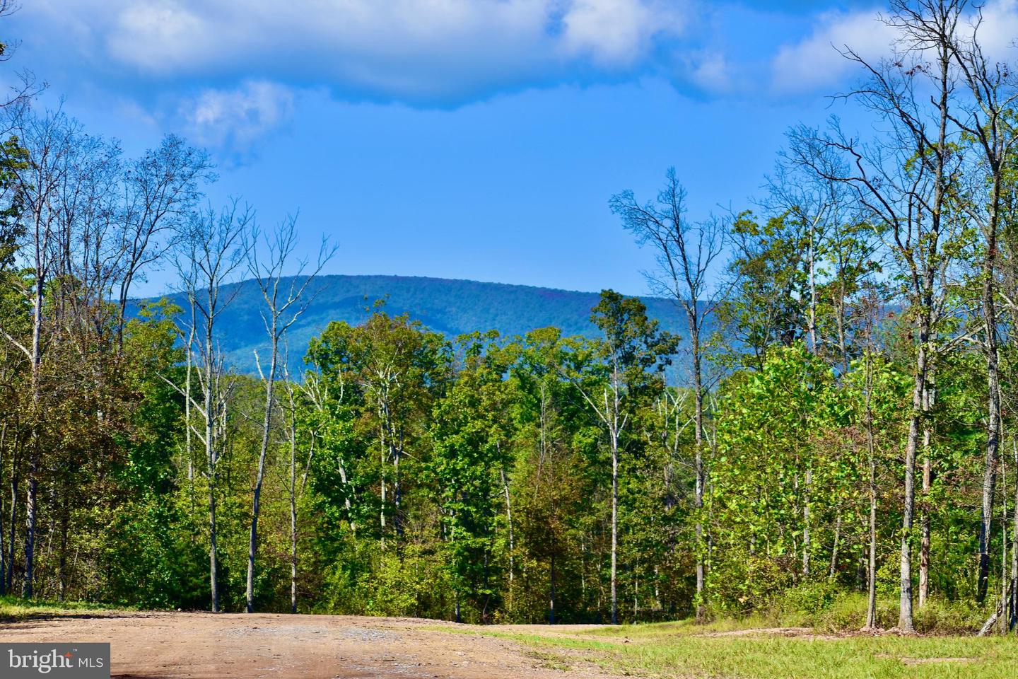 439 ACRES LAUREL GROVE RD., WINCHESTER, Virginia 22602, ,Farm,For Sale,439 ACRES LAUREL GROVE RD.,VAFV2024650 MLS # VAFV2024650