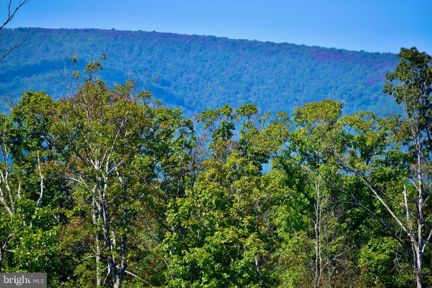 439 ACRES LAUREL GROVE RD., WINCHESTER, Virginia 22602, ,Farm,For Sale,439 ACRES LAUREL GROVE RD.,VAFV2024650 MLS # VAFV2024650
