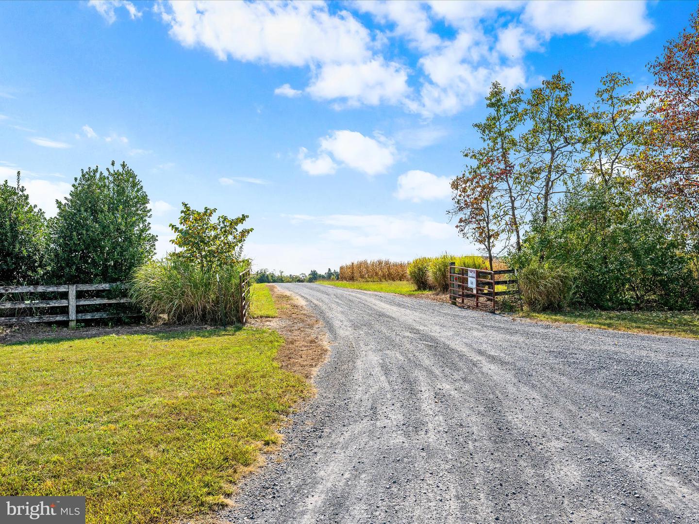 439 ACRES LAUREL GROVE RD., WINCHESTER, Virginia 22602, ,Farm,For Sale,439 ACRES LAUREL GROVE RD.,VAFV2024650 MLS # VAFV2024650