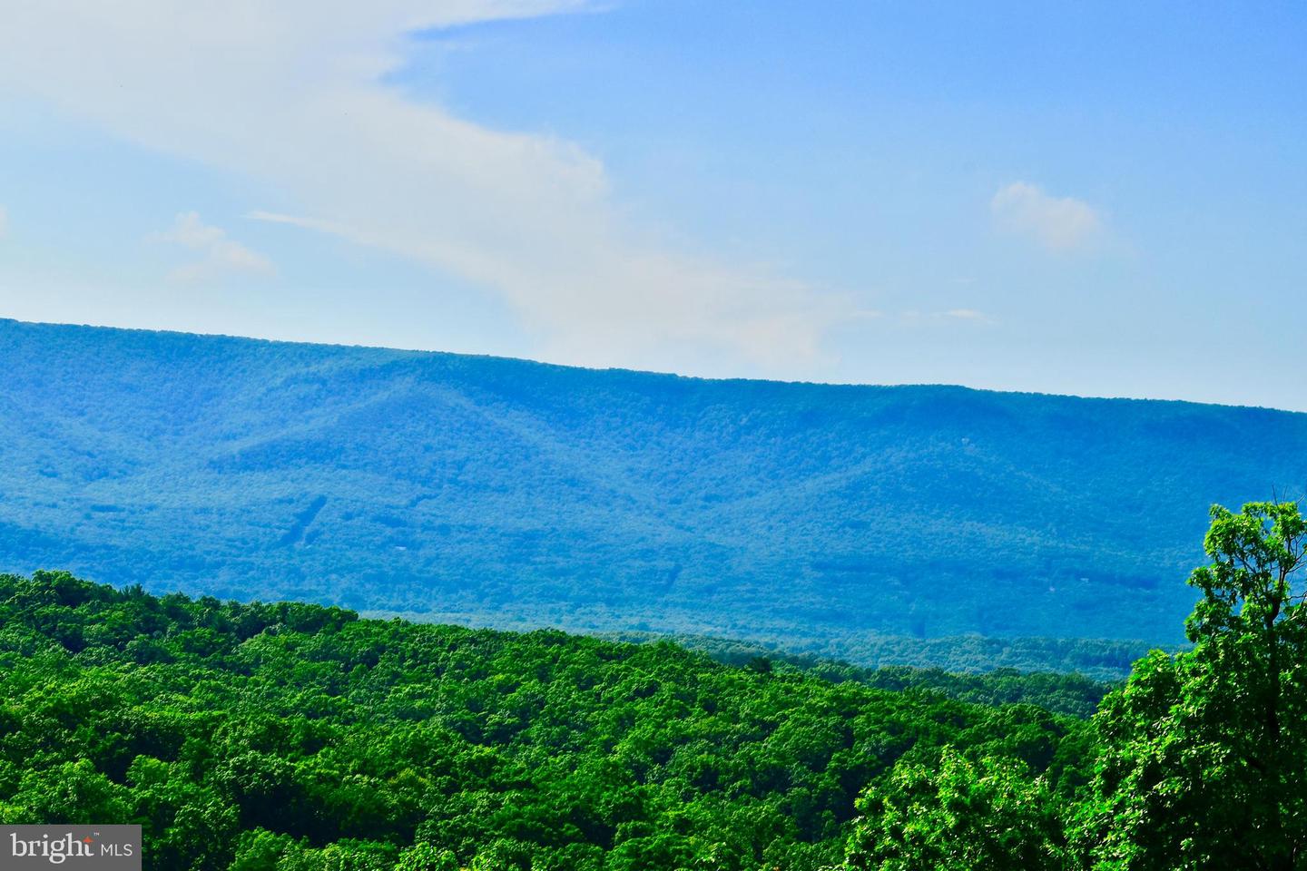 439 ACRES LAUREL GROVE RD., WINCHESTER, Virginia 22602, ,Farm,For Sale,439 ACRES LAUREL GROVE RD.,VAFV2024650 MLS # VAFV2024650