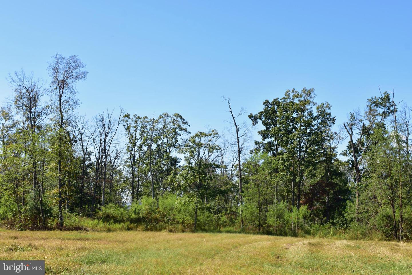 439 ACRES LAUREL GROVE RD., WINCHESTER, Virginia 22602, ,Farm,For Sale,439 ACRES LAUREL GROVE RD.,VAFV2024650 MLS # VAFV2024650