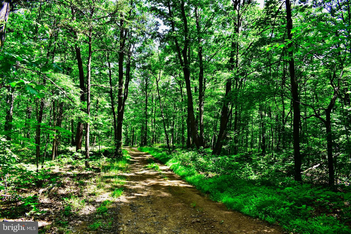 439 ACRES LAUREL GROVE RD., WINCHESTER, Virginia 22602, ,Farm,For Sale,439 ACRES LAUREL GROVE RD.,VAFV2024650 MLS # VAFV2024650