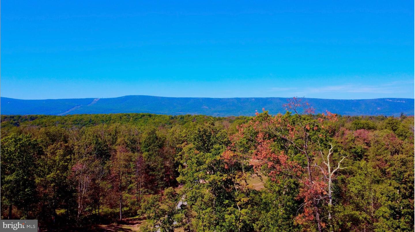 439 ACRES LAUREL GROVE RD., WINCHESTER, Virginia 22602, ,Farm,For Sale,439 ACRES LAUREL GROVE RD.,VAFV2024650 MLS # VAFV2024650