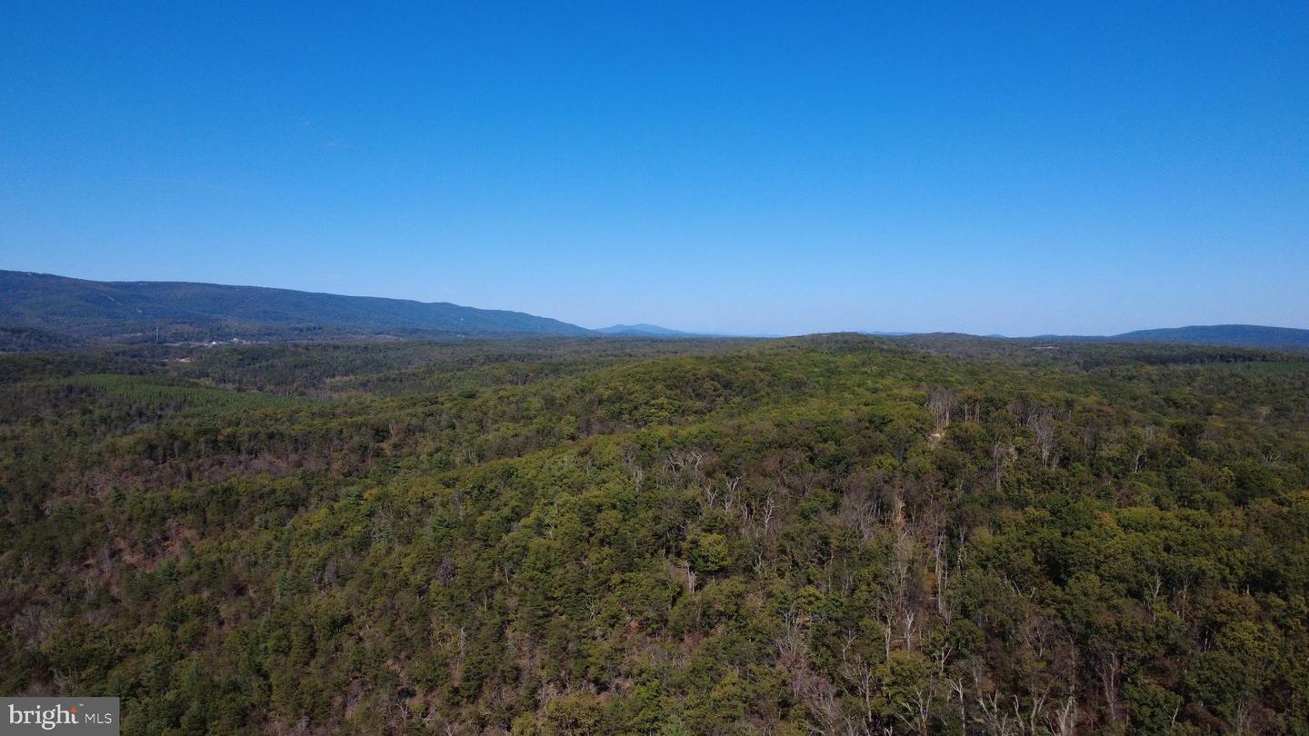 439 ACRES LAUREL GROVE RD., WINCHESTER, Virginia 22602, ,Farm,For Sale,439 ACRES LAUREL GROVE RD.,VAFV2024650 MLS # VAFV2024650