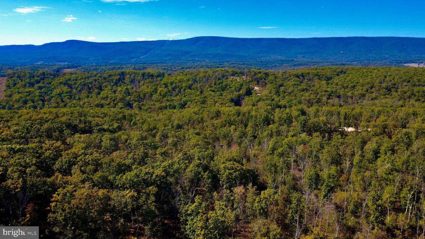 439 ACRES LAUREL GROVE RD., WINCHESTER, Virginia 22602, ,Farm,For Sale,439 ACRES LAUREL GROVE RD.,VAFV2024650 MLS # VAFV2024650