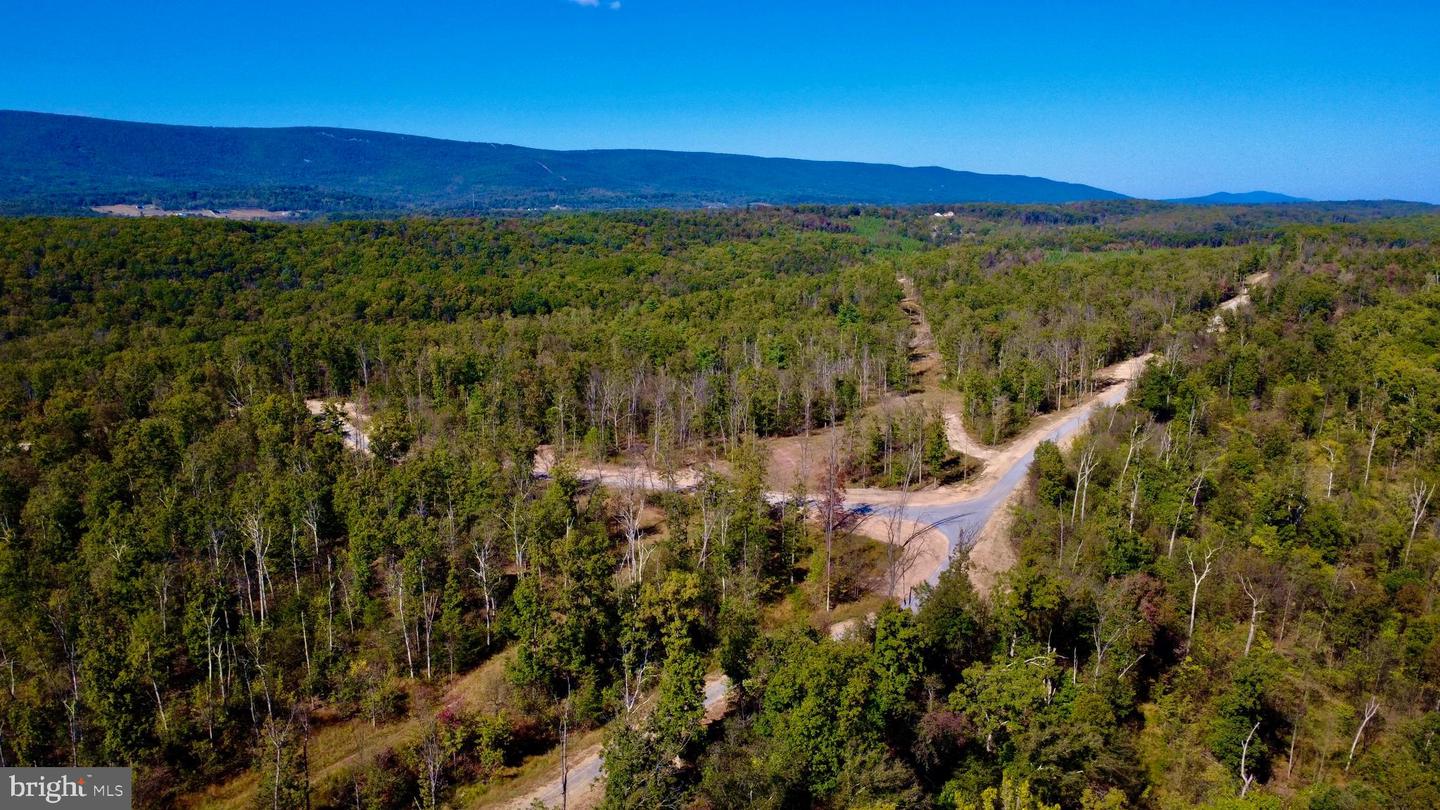 439 ACRES LAUREL GROVE RD., WINCHESTER, Virginia 22602, ,Farm,For Sale,439 ACRES LAUREL GROVE RD.,VAFV2024650 MLS # VAFV2024650