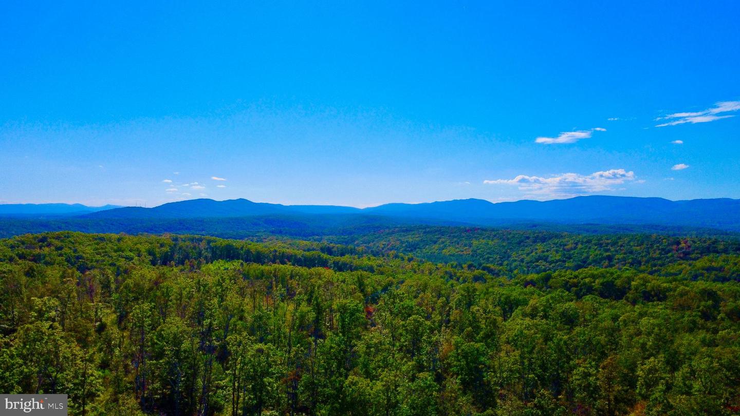 439 ACRES LAUREL GROVE RD., WINCHESTER, Virginia 22602, ,Farm,For Sale,439 ACRES LAUREL GROVE RD.,VAFV2024650 MLS # VAFV2024650