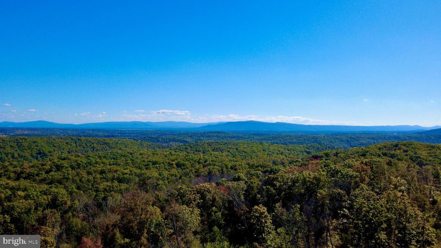 439 ACRES LAUREL GROVE RD., WINCHESTER, Virginia 22602, ,Farm,For Sale,439 ACRES LAUREL GROVE RD.,VAFV2024650 MLS # VAFV2024650