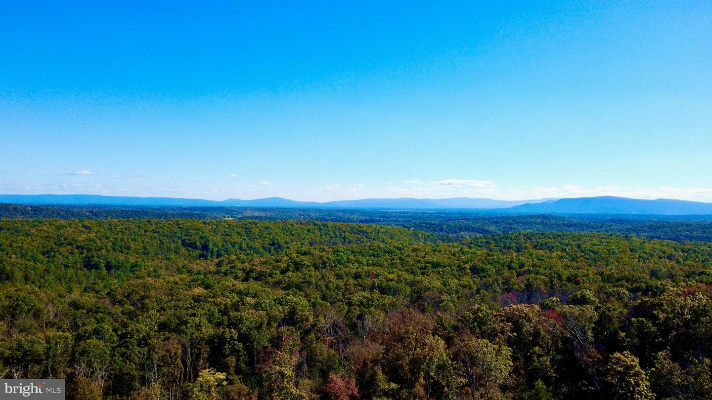 439 ACRES LAUREL GROVE RD., WINCHESTER, Virginia 22602, ,Farm,For Sale,439 ACRES LAUREL GROVE RD.,VAFV2024650 MLS # VAFV2024650