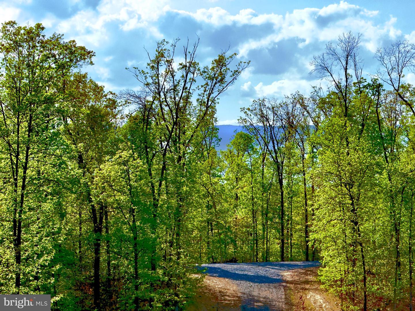 439 ACRES LAUREL GROVE RD., WINCHESTER, Virginia 22602, ,Farm,For Sale,439 ACRES LAUREL GROVE RD.,VAFV2024650 MLS # VAFV2024650