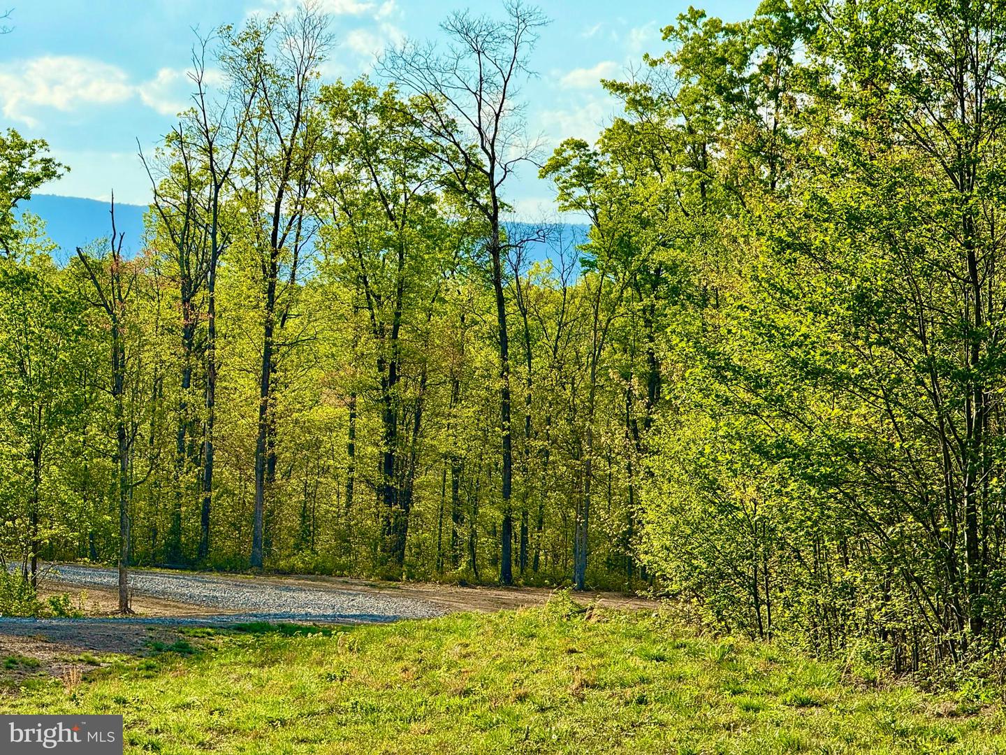 439 ACRES LAUREL GROVE RD., WINCHESTER, Virginia 22602, ,Farm,For Sale,439 ACRES LAUREL GROVE RD.,VAFV2024650 MLS # VAFV2024650