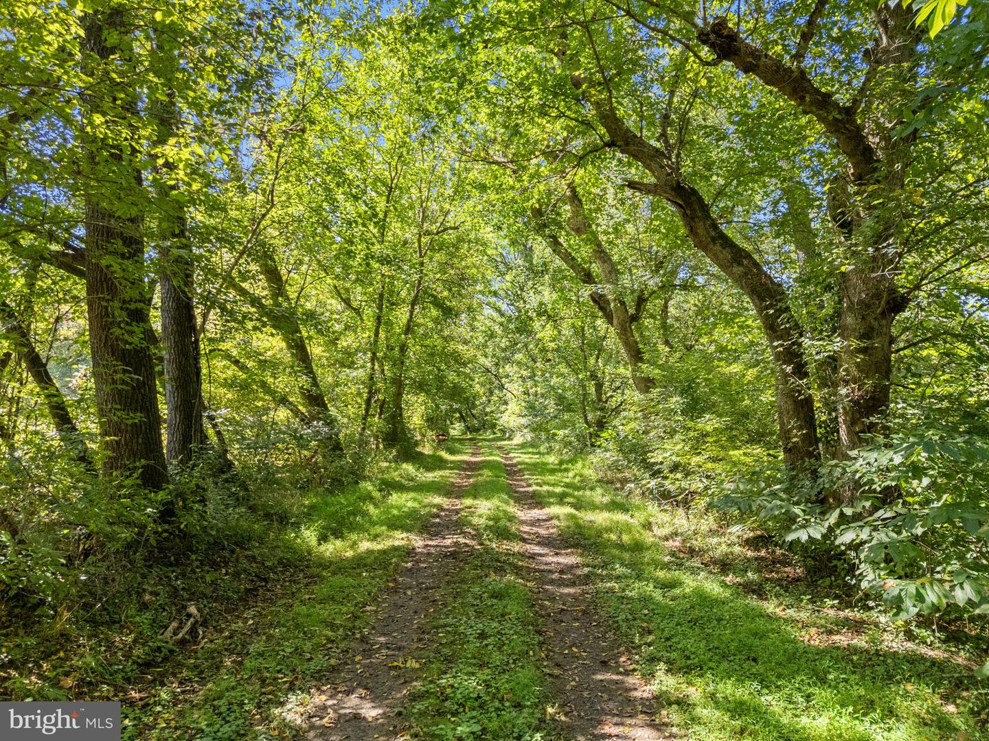 9533 HOWELLSVILLE RD, BOYCE, Virginia 22620, 4 Bedrooms Bedrooms, ,4 BathroomsBathrooms,Residential,For Sale,9533 HOWELLSVILLE RD,VACL2006100 MLS # VACL2006100 9533 HOWELLSVILLE RD, BOYCE, Virginia 22620, 4 Bedrooms Bedrooms, ,4 BathroomsBathrooms,Residential,For Sale,9533 HOWELLSVILLE RD,VACL2006100 MLS # VACL2006100