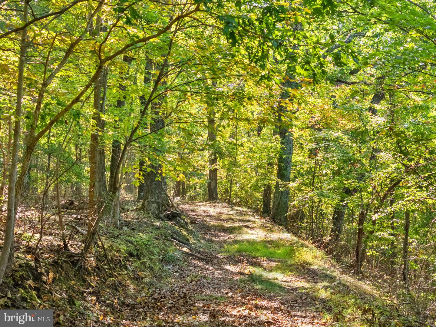 9533 HOWELLSVILLE RD, BOYCE, Virginia 22620, 4 Bedrooms Bedrooms, ,4 BathroomsBathrooms,Residential,For Sale,9533 HOWELLSVILLE RD,VACL2006100 MLS # VACL2006100 9533 HOWELLSVILLE RD, BOYCE, Virginia 22620, 4 Bedrooms Bedrooms, ,4 BathroomsBathrooms,Residential,For Sale,9533 HOWELLSVILLE RD,VACL2006100 MLS # VACL2006100