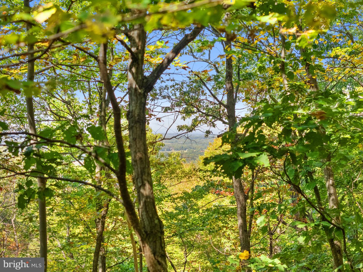 9533 HOWELLSVILLE RD, BOYCE, Virginia 22620, 4 Bedrooms Bedrooms, ,4 BathroomsBathrooms,Residential,For Sale,9533 HOWELLSVILLE RD,VACL2006100 MLS # VACL2006100 9533 HOWELLSVILLE RD, BOYCE, Virginia 22620, 4 Bedrooms Bedrooms, ,4 BathroomsBathrooms,Residential,For Sale,9533 HOWELLSVILLE RD,VACL2006100 MLS # VACL2006100