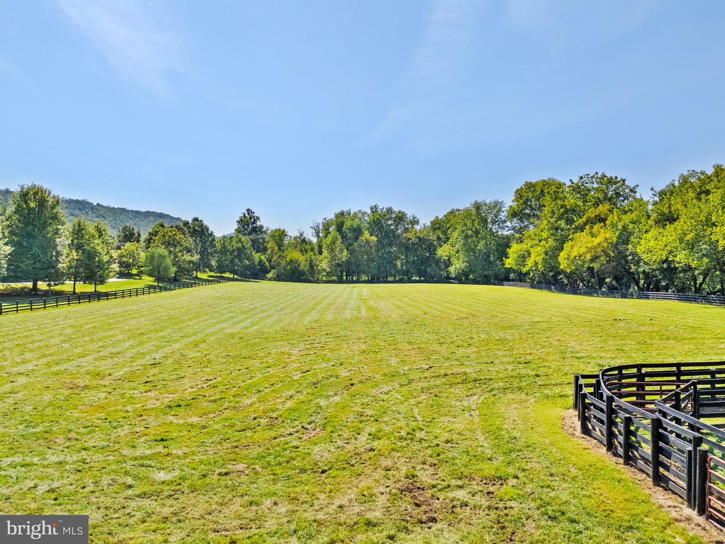 9533 HOWELLSVILLE RD, BOYCE, Virginia 22620, 4 Bedrooms Bedrooms, ,4 BathroomsBathrooms,Residential,For Sale,9533 HOWELLSVILLE RD,VACL2006100 MLS # VACL2006100 9533 HOWELLSVILLE RD, BOYCE, Virginia 22620, 4 Bedrooms Bedrooms, ,4 BathroomsBathrooms,Residential,For Sale,9533 HOWELLSVILLE RD,VACL2006100 MLS # VACL2006100