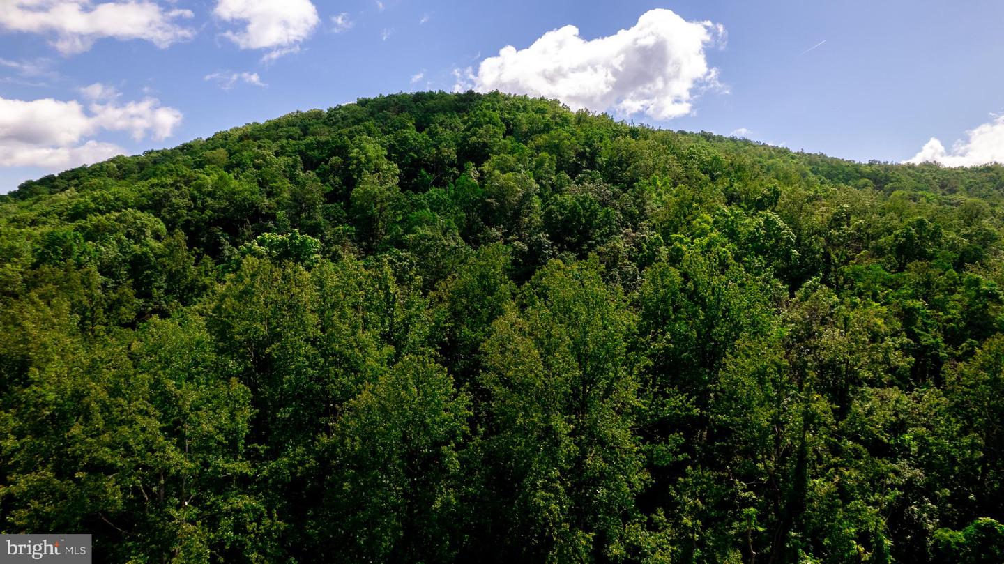 4179 FIERY RUN RD, LINDEN, Virginia 22642, 5 Bedrooms Bedrooms, ,2 BathroomsBathrooms,Residential,For Sale,4179 FIERY RUN RD,VAFQ2018488 MLS # VAFQ2018488