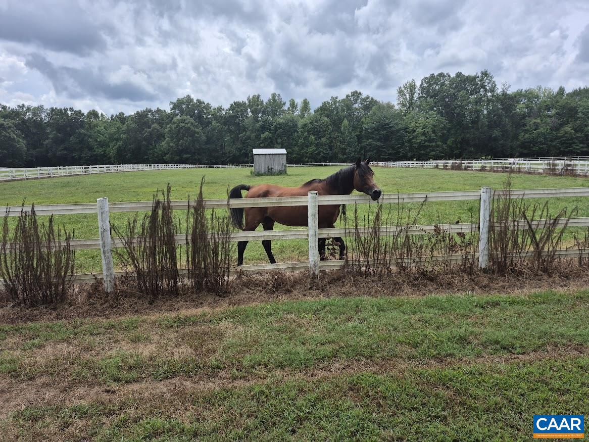 17611 ROGERS CLARK BLVD, MILFORD, Virginia 22514, 6 Bedrooms Bedrooms, ,3 BathroomsBathrooms,Residential,For Sale,17611 ROGERS CLARK BLVD,669504 MLS # 669504