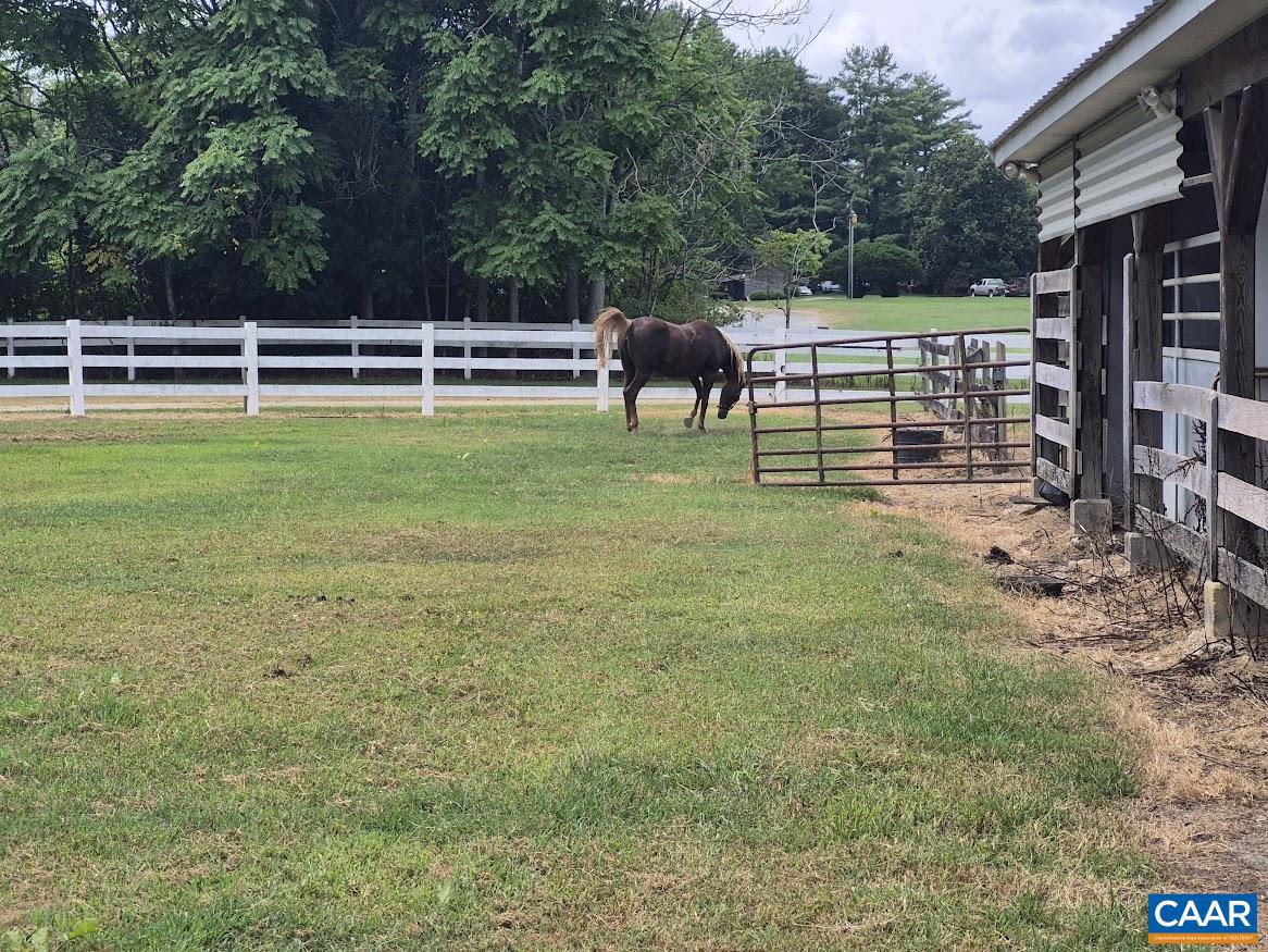 17611 ROGERS CLARK BLVD, MILFORD, Virginia 22514, 6 Bedrooms Bedrooms, ,3 BathroomsBathrooms,Residential,For Sale,17611 ROGERS CLARK BLVD,669504 MLS # 669504