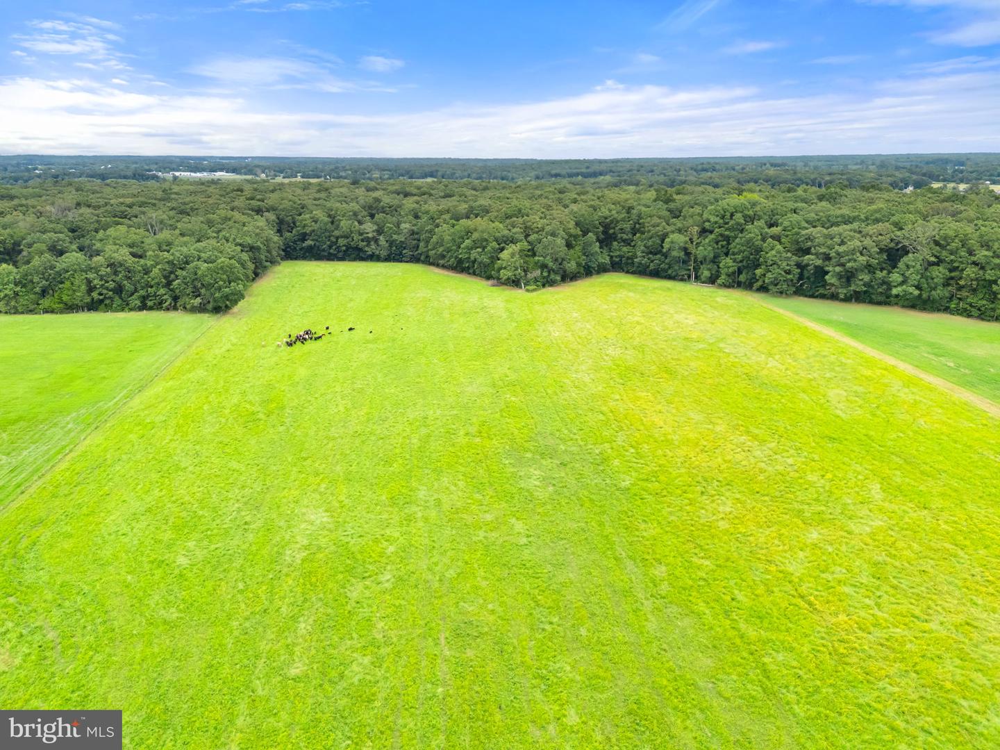5474 WOODSIDE LN, BEALETON, Virginia 22712, 3 Bedrooms Bedrooms, ,2 BathroomsBathrooms,Farm,For Sale,5474 WOODSIDE LN,VAFQ2018414 MLS # VAFQ2018414 5474 WOODSIDE LN, BEALETON, Virginia 22712, 3 Bedrooms Bedrooms, ,2 BathroomsBathrooms,Farm,For Sale,5474 WOODSIDE LN,VAFQ2018414 MLS # VAFQ2018414