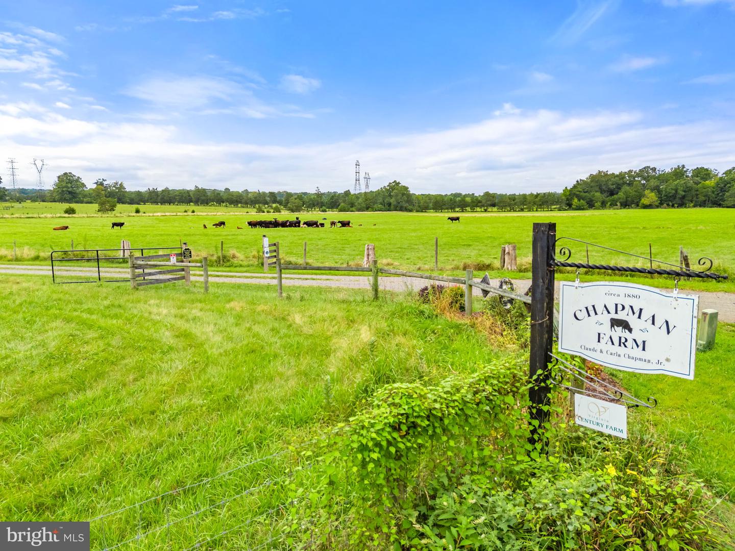 5474 WOODSIDE LN, BEALETON, Virginia 22712, 3 Bedrooms Bedrooms, ,2 BathroomsBathrooms,Farm,For Sale,5474 WOODSIDE LN,VAFQ2018414 MLS # VAFQ2018414 5474 WOODSIDE LN, BEALETON, Virginia 22712, 3 Bedrooms Bedrooms, ,2 BathroomsBathrooms,Farm,For Sale,5474 WOODSIDE LN,VAFQ2018414 MLS # VAFQ2018414