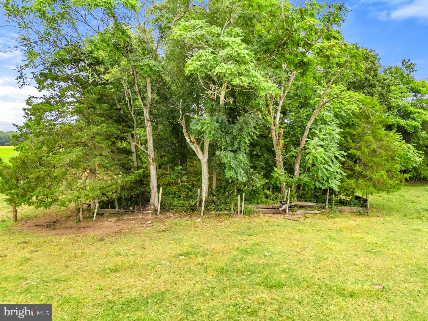 5474 WOODSIDE LN, BEALETON, Virginia 22712, 3 Bedrooms Bedrooms, ,2 BathroomsBathrooms,Farm,For Sale,5474 WOODSIDE LN,VAFQ2018414 MLS # VAFQ2018414 5474 WOODSIDE LN, BEALETON, Virginia 22712, 3 Bedrooms Bedrooms, ,2 BathroomsBathrooms,Farm,For Sale,5474 WOODSIDE LN,VAFQ2018414 MLS # VAFQ2018414