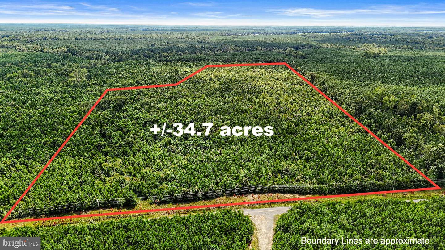 SPARTA ROAD, MILFORD, Virginia 22514, ,Land,For Sale,SPARTA ROAD,VACV2008914 MLS # VACV2008914