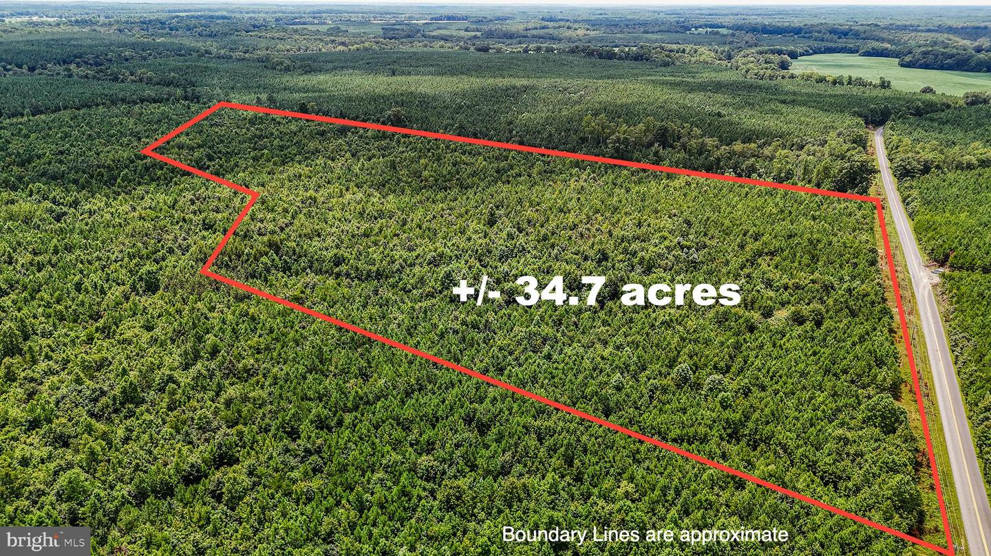 SPARTA ROAD, MILFORD, Virginia 22514, ,Land,For Sale,SPARTA ROAD,VACV2008914 MLS # VACV2008914