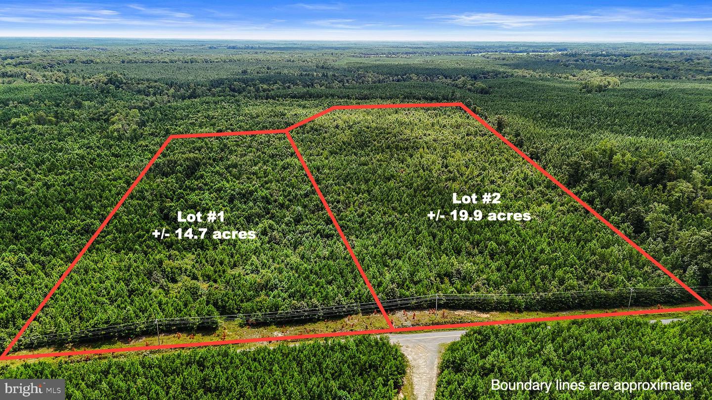 SPARTA ROAD, MILFORD, Virginia 22514, ,Land,For Sale,SPARTA ROAD,VACV2008914 MLS # VACV2008914