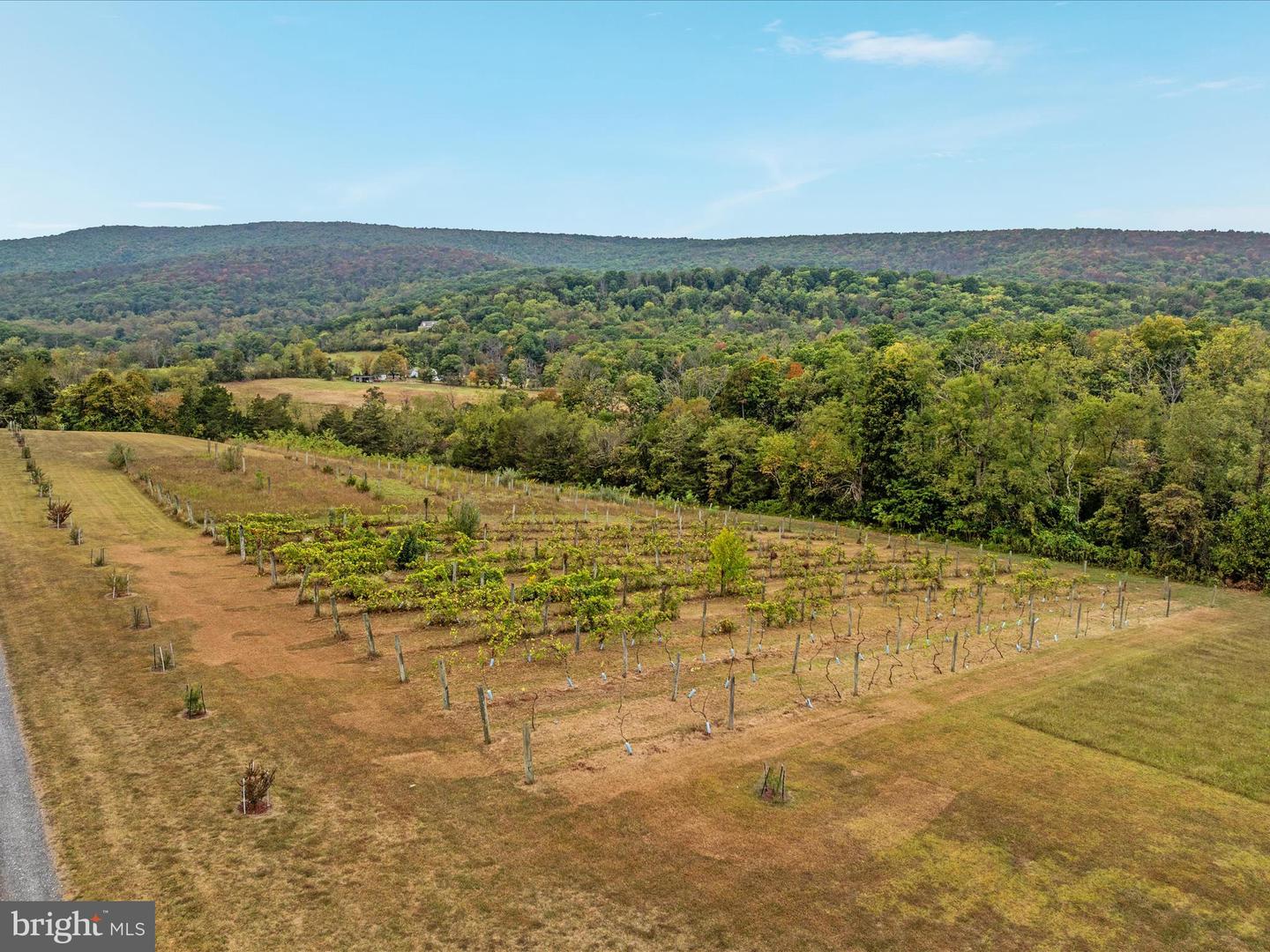 2121 S PIFER RD, STAR TANNERY, Virginia 22654, 3 Bedrooms Bedrooms, ,3 BathroomsBathrooms,Residential,For Sale,2121 S PIFER RD,VAFV2037060 MLS # VAFV2037060