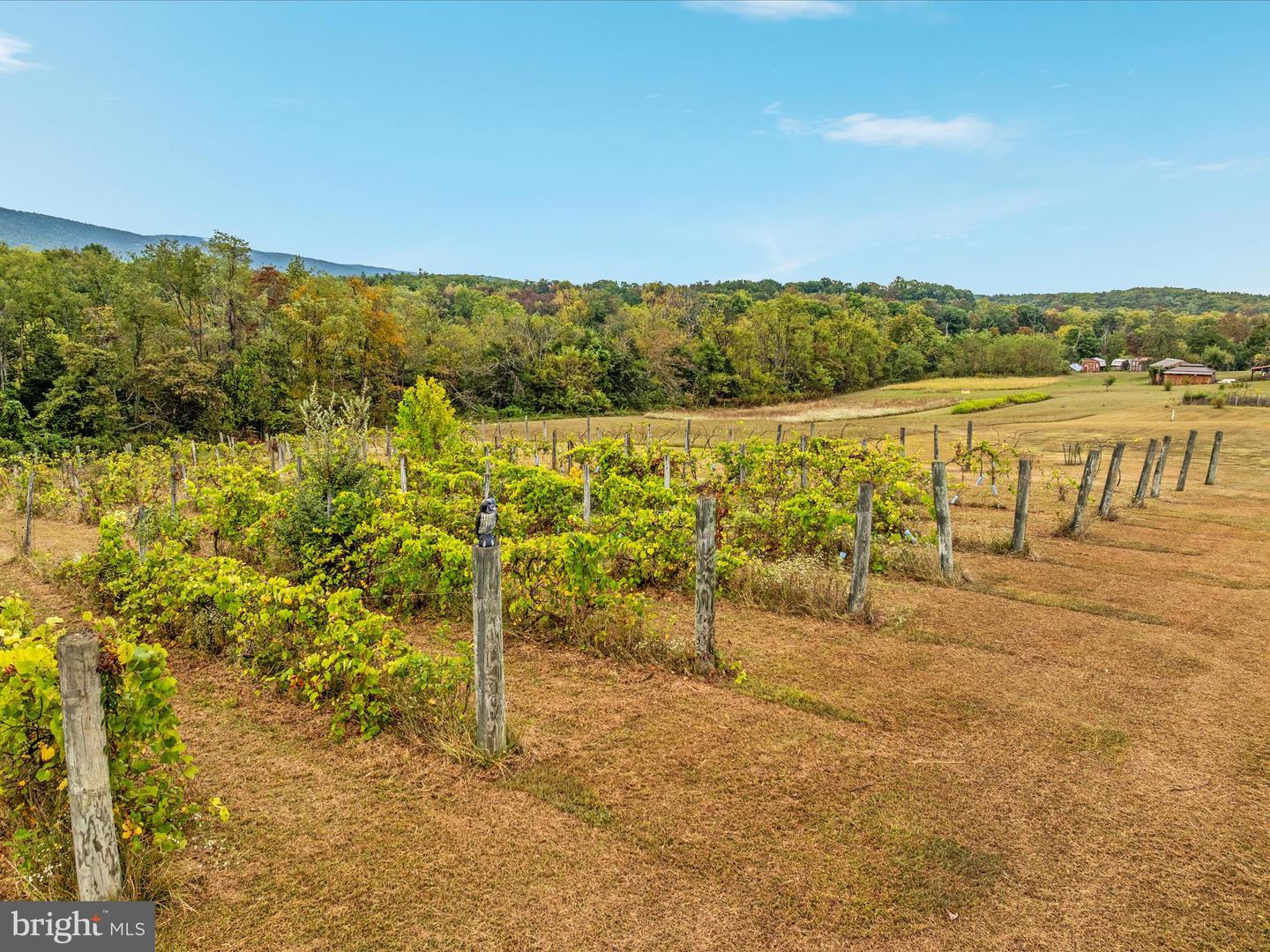 2121 S PIFER RD, STAR TANNERY, Virginia 22654, 3 Bedrooms Bedrooms, ,3 BathroomsBathrooms,Residential,For Sale,2121 S PIFER RD,VAFV2037060 MLS # VAFV2037060