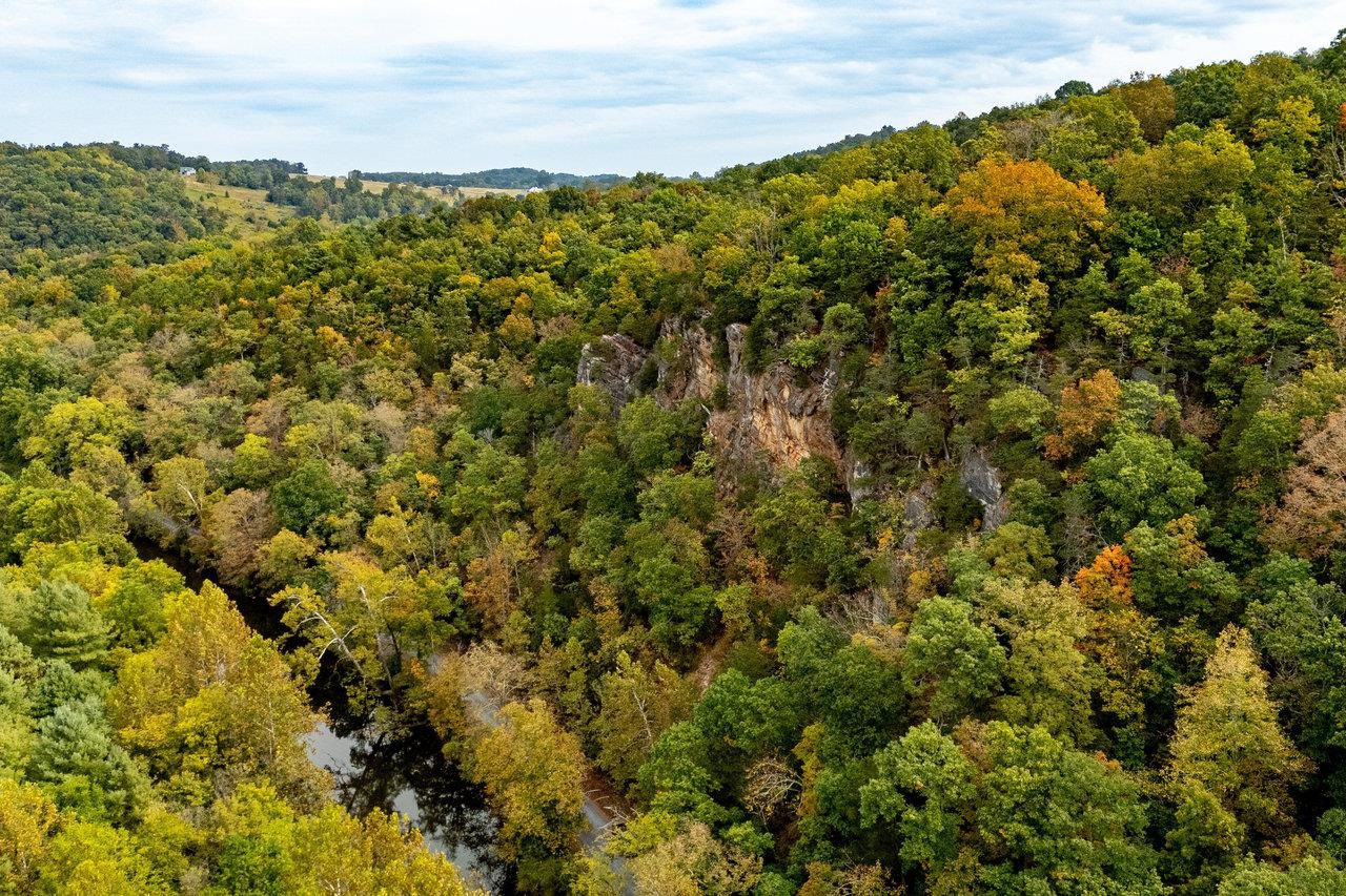 TBD BALD ROCK RD, VERONA, Virginia 24482, ,Farm,14,TBD BALD ROCK RD,669541 MLS # 669541