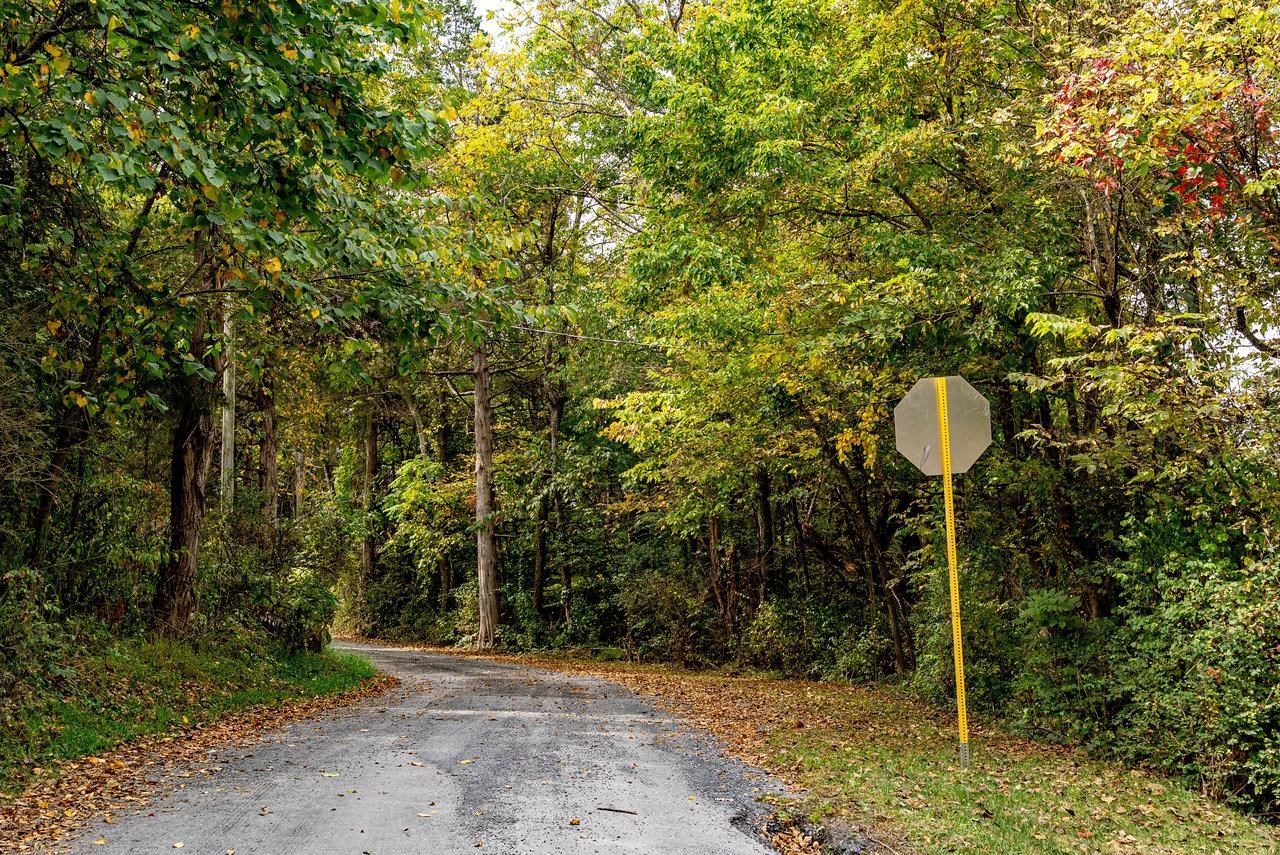 TBD BALD ROCK RD, VERONA, Virginia 24482, ,Farm,14,TBD BALD ROCK RD,669541 MLS # 669541