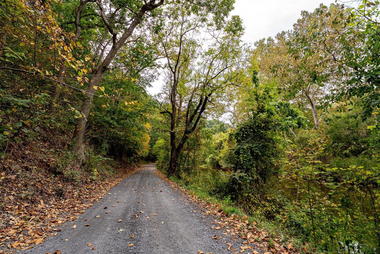 TBD BALD ROCK RD, VERONA, Virginia 24482, ,Farm,14,TBD BALD ROCK RD,669541 MLS # 669541