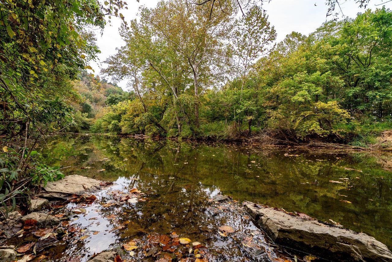 TBD BALD ROCK RD, VERONA, Virginia 24482, ,Farm,14,TBD BALD ROCK RD,669541 MLS # 669541