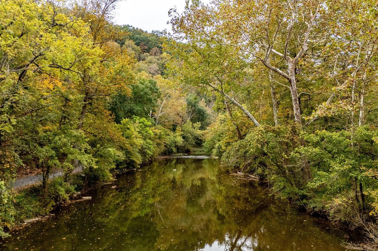 TBD BALD ROCK RD, VERONA, Virginia 24482, ,Farm,14,TBD BALD ROCK RD,669541 MLS # 669541