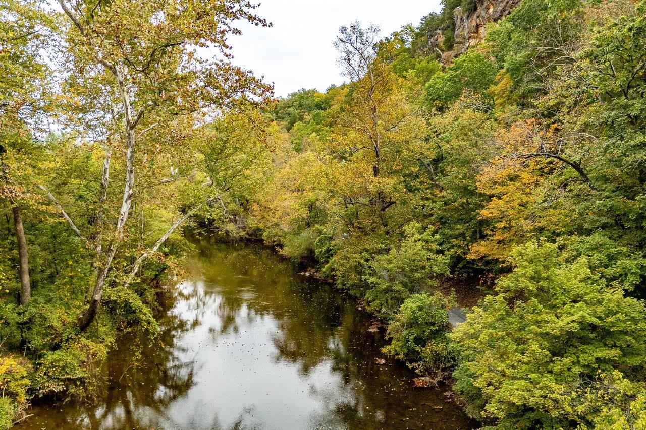 TBD BALD ROCK RD, VERONA, Virginia 24482, ,Farm,14,TBD BALD ROCK RD,669541 MLS # 669541