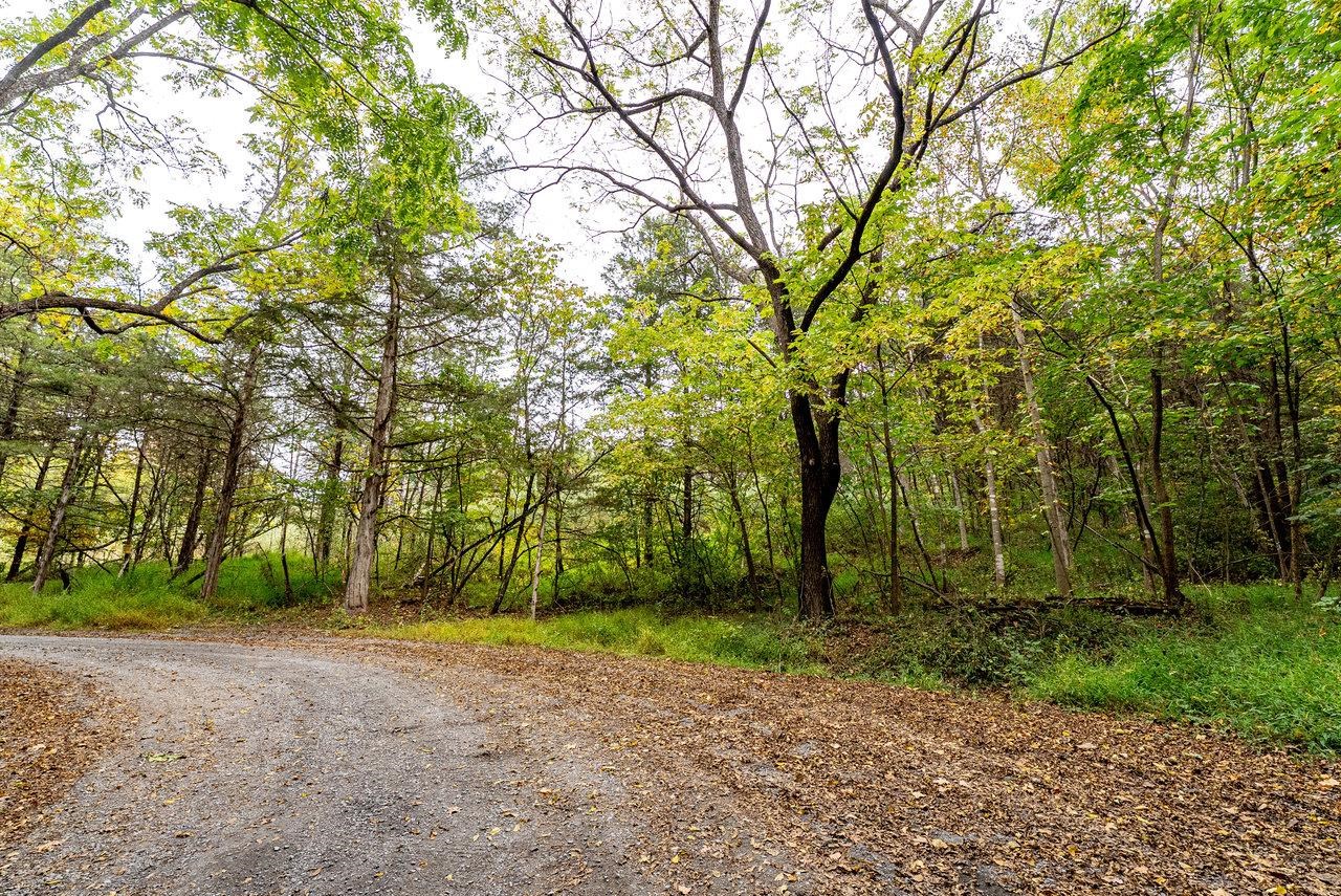 TBD BALD ROCK RD, VERONA, Virginia 24482, ,Farm,14,TBD BALD ROCK RD,669541 MLS # 669541