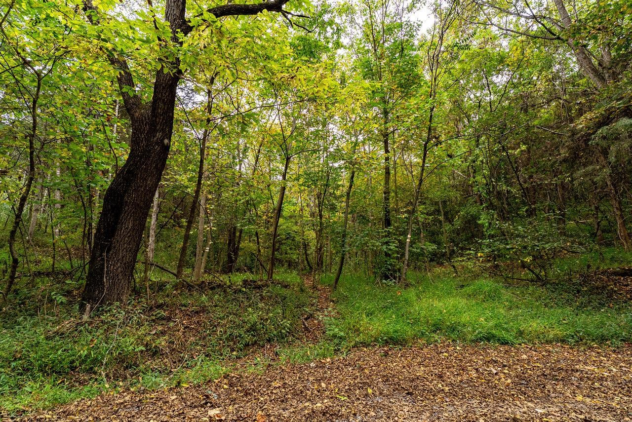 TBD BALD ROCK RD, VERONA, Virginia 24482, ,Farm,14,TBD BALD ROCK RD,669541 MLS # 669541