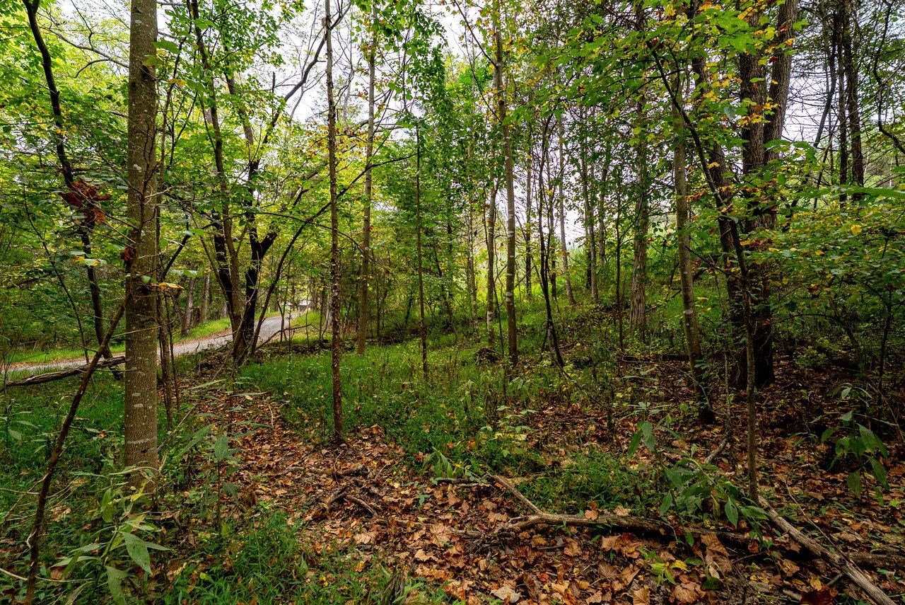 TBD BALD ROCK RD, VERONA, Virginia 24482, ,Farm,14,TBD BALD ROCK RD,669541 MLS # 669541