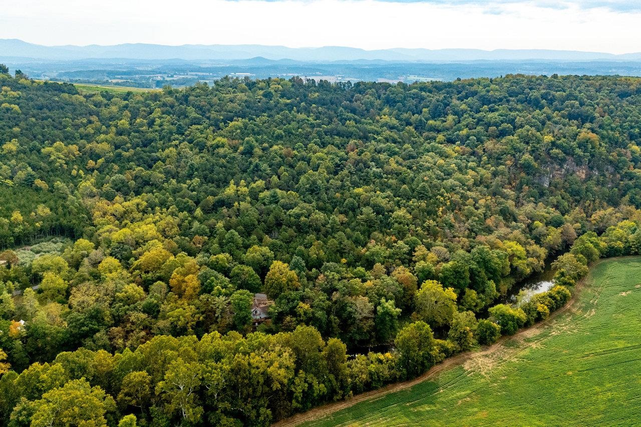 TBD BALD ROCK RD, VERONA, Virginia 24482, ,Farm,14,TBD BALD ROCK RD,669541 MLS # 669541