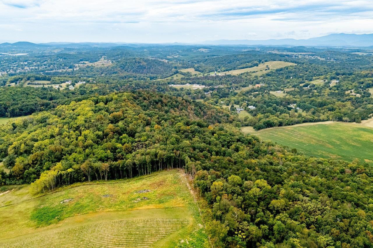 TBD BALD ROCK RD, VERONA, Virginia 24482, ,Farm,14,TBD BALD ROCK RD,669541 MLS # 669541
