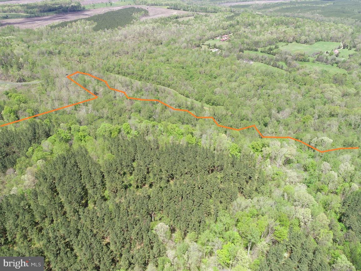 HUNTERS ROAD (RT. 736) (TRACT: BK1442-1), RED HOUSE, Virginia 23963, ,Farm,For Sale,HUNTERS ROAD (RT. 736) (TRACT: BK1442-1),VACE2000014 MLS # VACE2000014 HUNTERS ROAD (RT. 736) (TRACT: BK1442-1), RED HOUSE, Virginia 23963, ,Farm,For Sale,HUNTERS ROAD (RT. 736) (TRACT: BK1442-1),VACE2000014 MLS # VACE2000014