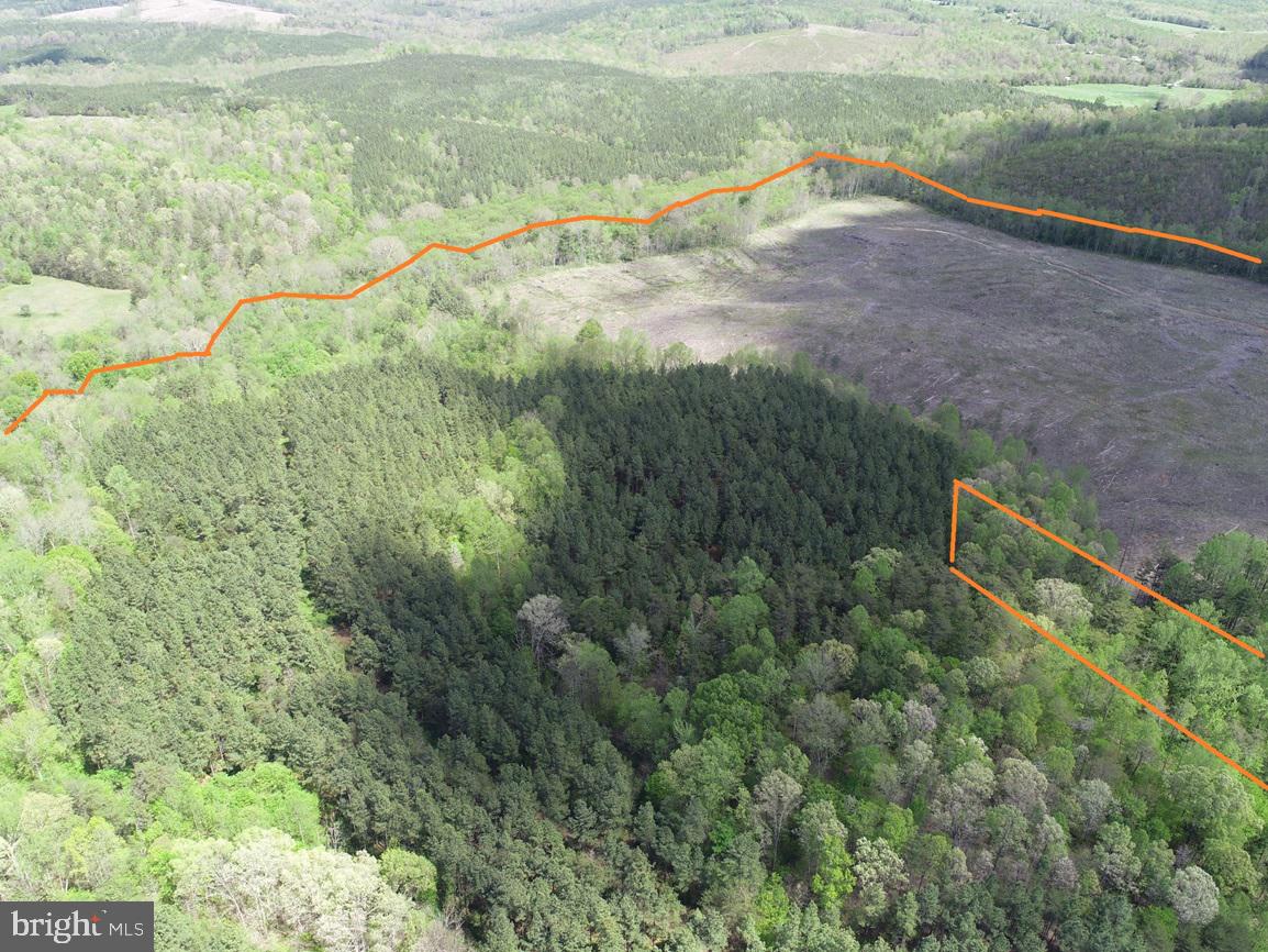 HUNTERS ROAD (RT. 736) (TRACT: BK1442-1), RED HOUSE, Virginia 23963, ,Farm,For Sale,HUNTERS ROAD (RT. 736) (TRACT: BK1442-1),VACE2000014 MLS # VACE2000014 HUNTERS ROAD (RT. 736) (TRACT: BK1442-1), RED HOUSE, Virginia 23963, ,Farm,For Sale,HUNTERS ROAD (RT. 736) (TRACT: BK1442-1),VACE2000014 MLS # VACE2000014