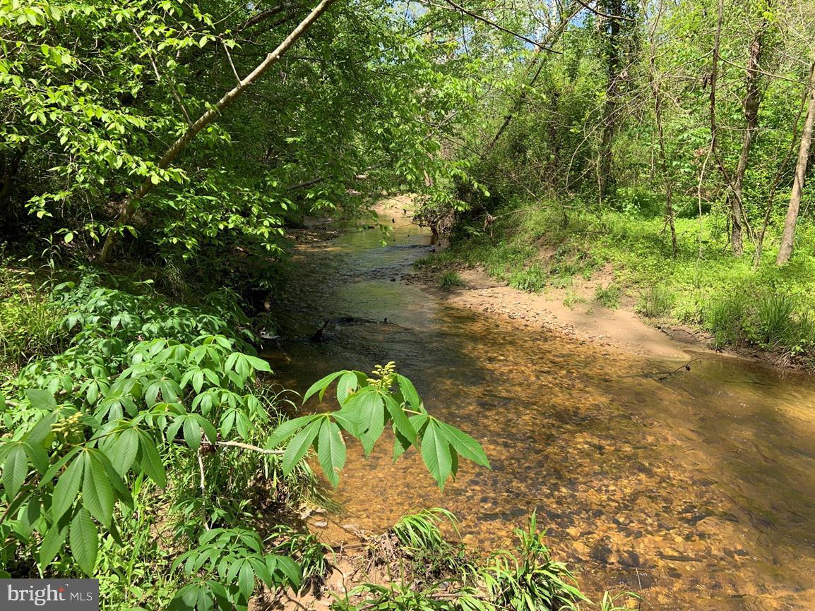 HUNTERS ROAD (RT. 736) (TRACT: BK1442-1), RED HOUSE, Virginia 23963, ,Farm,For Sale,HUNTERS ROAD (RT. 736) (TRACT: BK1442-1),VACE2000014 MLS # VACE2000014 HUNTERS ROAD (RT. 736) (TRACT: BK1442-1), RED HOUSE, Virginia 23963, ,Farm,For Sale,HUNTERS ROAD (RT. 736) (TRACT: BK1442-1),VACE2000014 MLS # VACE2000014