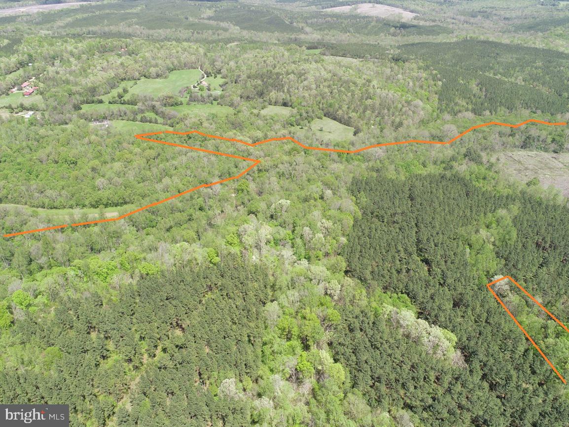 HUNTERS ROAD (RT. 736) (TRACT: BK1442-1), RED HOUSE, Virginia 23963, ,Farm,For Sale,HUNTERS ROAD (RT. 736) (TRACT: BK1442-1),VACE2000014 MLS # VACE2000014 HUNTERS ROAD (RT. 736) (TRACT: BK1442-1), RED HOUSE, Virginia 23963, ,Farm,For Sale,HUNTERS ROAD (RT. 736) (TRACT: BK1442-1),VACE2000014 MLS # VACE2000014