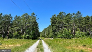 MOUNTAIN CREEK ROAD (TRACT: BK3208-1), MEHERRIN, Virginia 23954, ,Farm,For Sale,MOUNTAIN CREEK ROAD (TRACT: BK3208-1),VAPE2000084 MLS # VAPE2000084