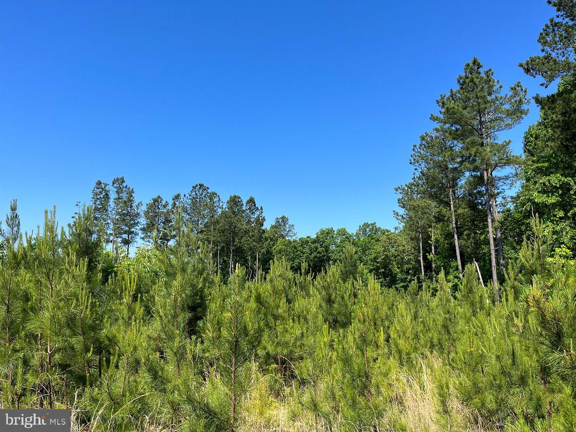 MOUNTAIN CREEK ROAD (RT. 628) (TRACT: BK3208-3), MEHERRIN, Virginia 23954, ,Farm,For Sale,MOUNTAIN CREEK ROAD (RT. 628) (TRACT: BK3208-3),VAPE2000088 MLS # VAPE2000088 MOUNTAIN CREEK ROAD (RT. 628) (TRACT: BK3208-3), MEHERRIN, Virginia 23954, ,Farm,For Sale,MOUNTAIN CREEK ROAD (RT. 628) (TRACT: BK3208-3),VAPE2000088 MLS # VAPE2000088