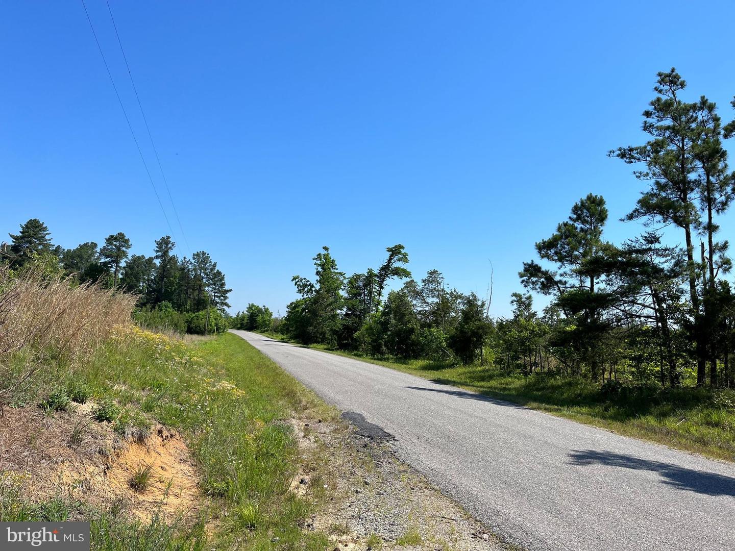 MOUNTAIN CREEK ROAD (RT. 628) (TRACT: BK3208-3), MEHERRIN, Virginia 23954, ,Farm,For Sale,MOUNTAIN CREEK ROAD (RT. 628) (TRACT: BK3208-3),VAPE2000088 MLS # VAPE2000088 MOUNTAIN CREEK ROAD (RT. 628) (TRACT: BK3208-3), MEHERRIN, Virginia 23954, ,Farm,For Sale,MOUNTAIN CREEK ROAD (RT. 628) (TRACT: BK3208-3),VAPE2000088 MLS # VAPE2000088