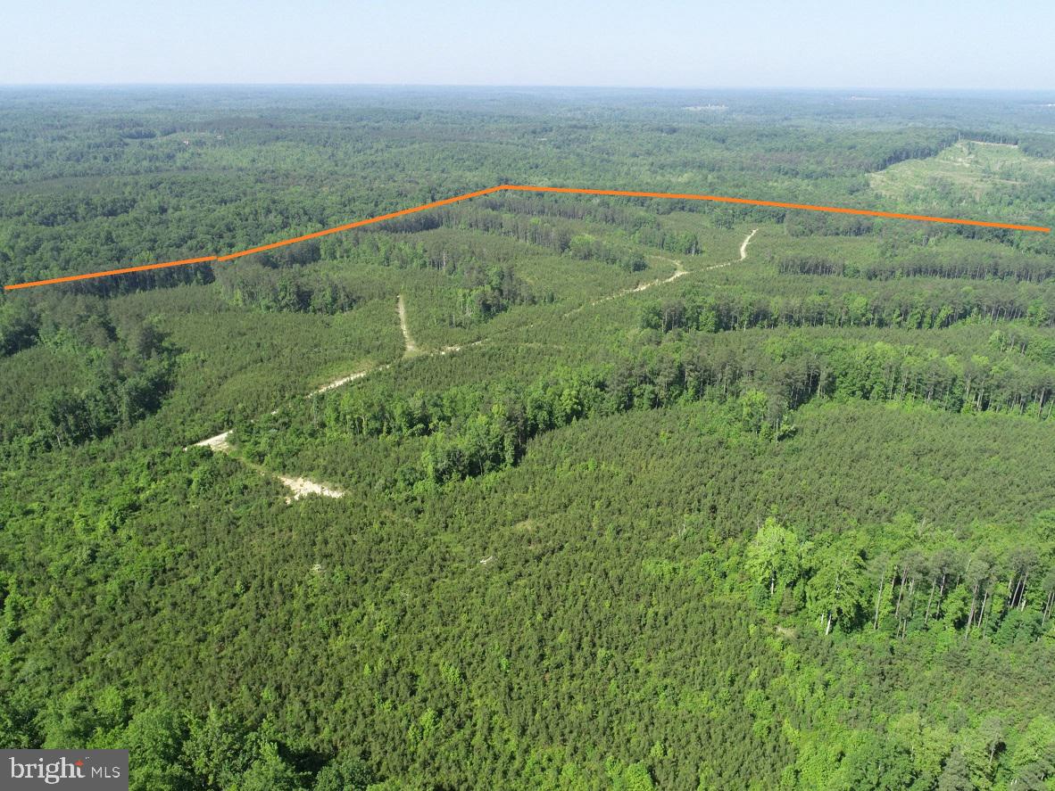 MOUNTAIN CREEK ROAD (RT. 628) (TRACT: BK3208-3), MEHERRIN, Virginia 23954, ,Farm,For Sale,MOUNTAIN CREEK ROAD (RT. 628) (TRACT: BK3208-3),VAPE2000088 MLS # VAPE2000088 MOUNTAIN CREEK ROAD (RT. 628) (TRACT: BK3208-3), MEHERRIN, Virginia 23954, ,Farm,For Sale,MOUNTAIN CREEK ROAD (RT. 628) (TRACT: BK3208-3),VAPE2000088 MLS # VAPE2000088